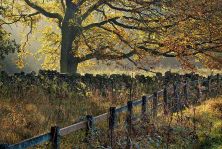 autumn light in lofthouse.jpg
